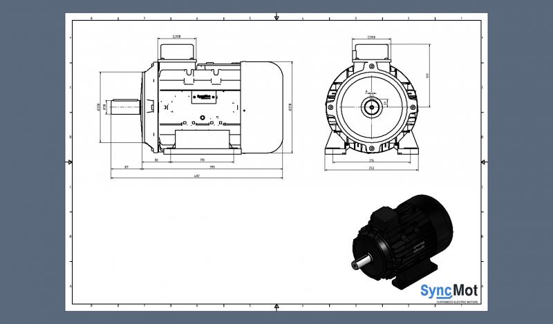 SM 55kW; 3000 rpm; IEC132 B3
